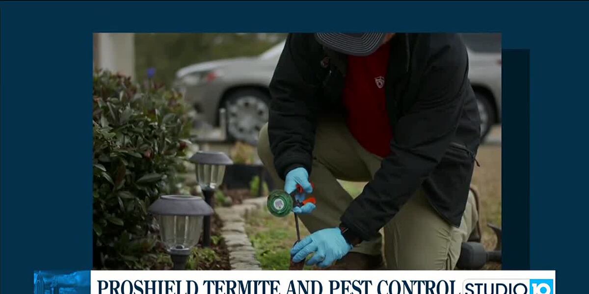 Termite Proshield Proshield Termite and Pest: Spring is here and the Formosan Termites ...