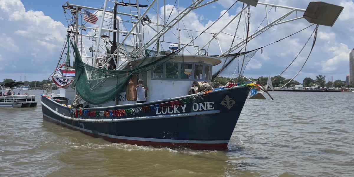 Shrimp season shows promise despite stormy start, Mississippi DMR director says
