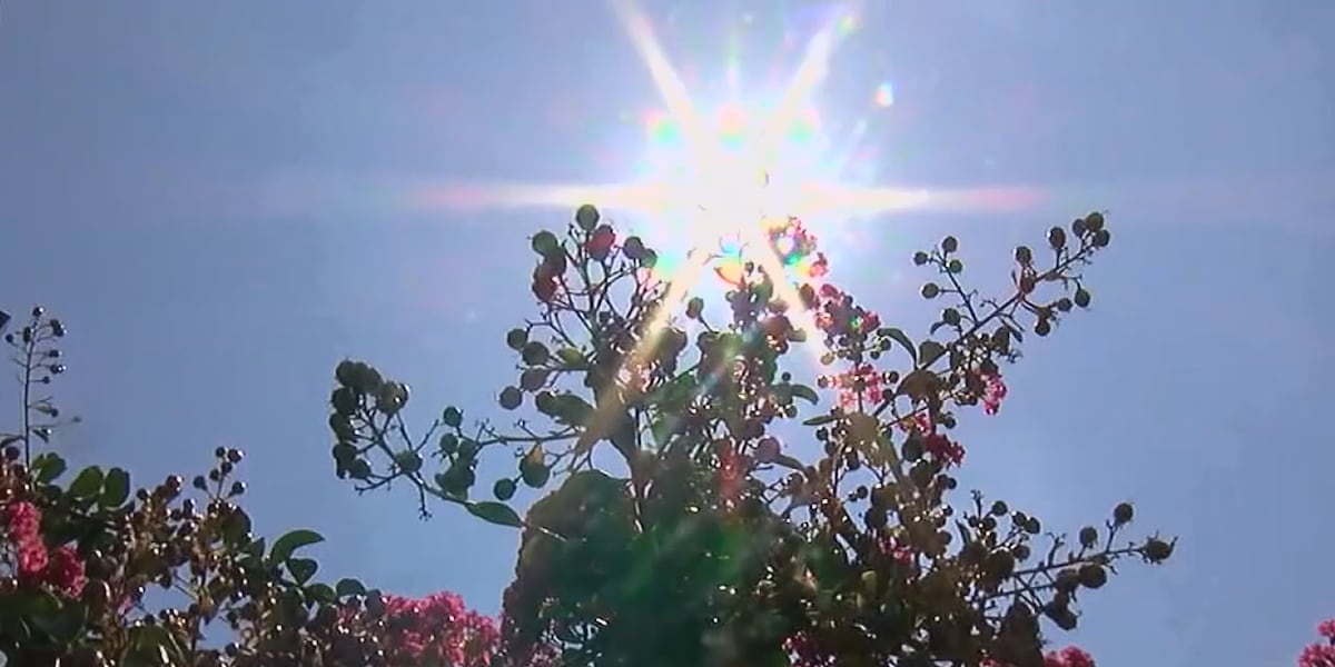 Heat dome prompts health warnings and energy saving tips for Baldwin County