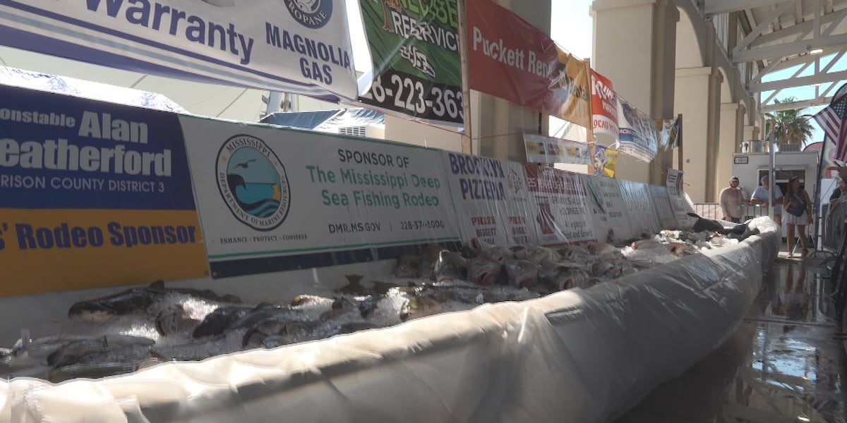 Anglers compete in dozens of divisions at 78th Mississippi Deep Sea Fishing Rodeo