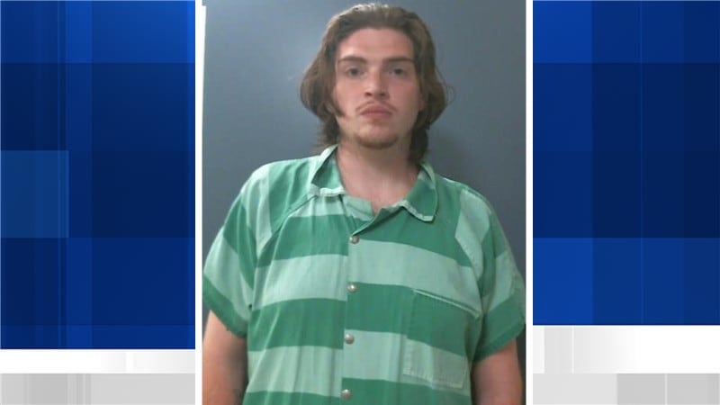 Trevor Brown, 27, was sentenced to 10 years in prison for child sex crimes.