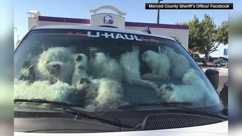 Mobile DA: Sabronte Rhodes found guilty in 2019 murder