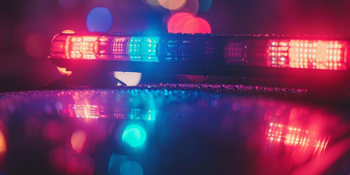 Portion of Alabama 59 in Baldwin County closed following two-vehicle crash Portion of Alabama 59 in Baldwin County closed following two-vehicle crash