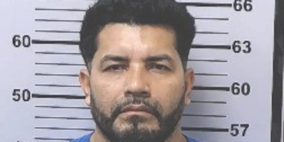Migdon Steven Inmate Convicted felon with prior deportations arrested on I-10 near Mobile