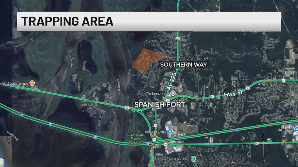 The main problem area is on the west side of Spanish Fort Estates where the neighborhood...