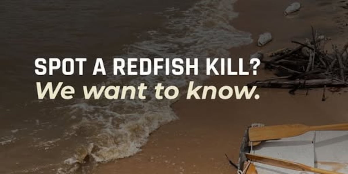 Mobile Baykeeper launches effort to learn more about redfish kills
