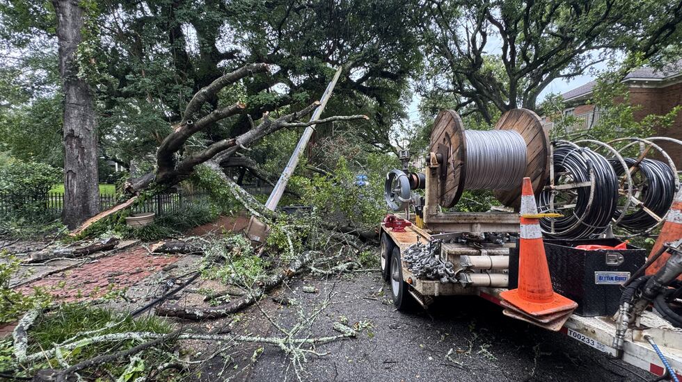 Fallen oak tree blocking South Warren Street, power line down