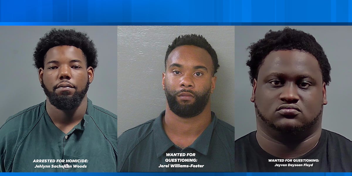 Assault News Image