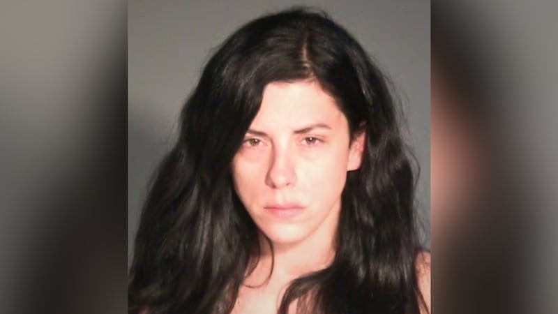 Ashley Karschnick, 32, is facing a felony count of child abuse, recklessly causing harm.