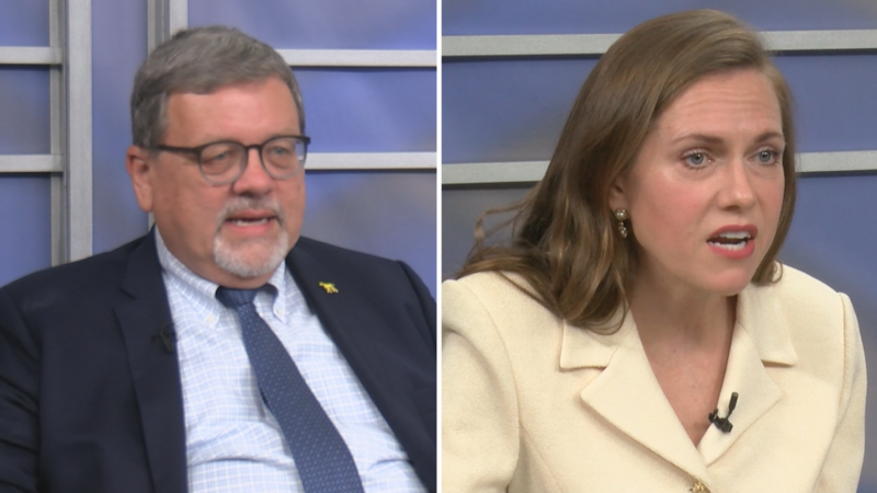 Meet the candidates for Alabama's Secretary of State race: Wayne Rogers (left) and Caroleene...