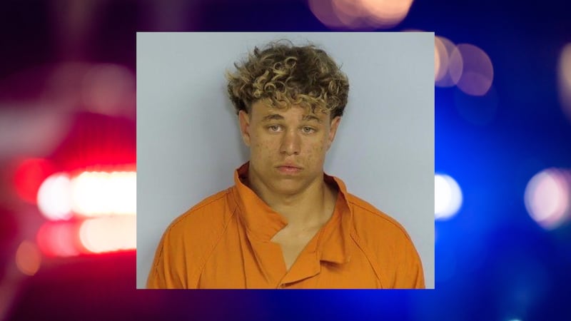 Teen brawl on 30A leads to one arrest