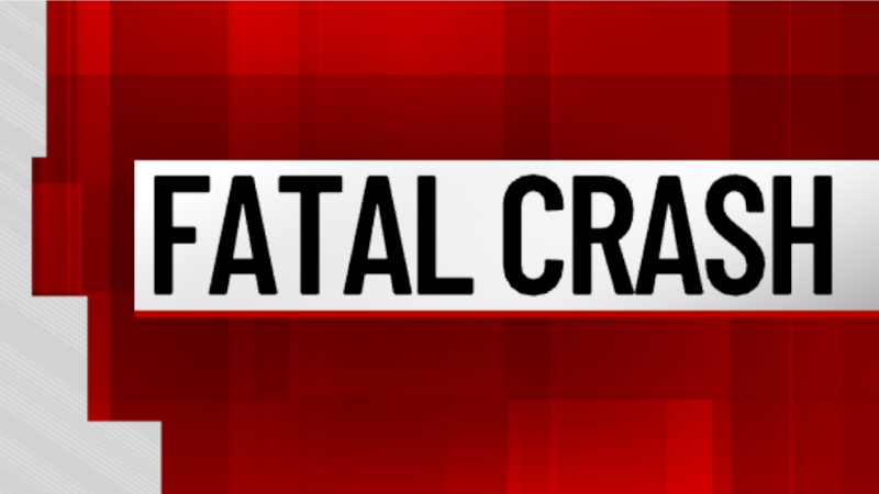74-year-old woman dies after being hit by boat