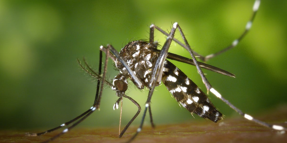 Health officials confirm 2nd human case of West Nile virus in Mobile County