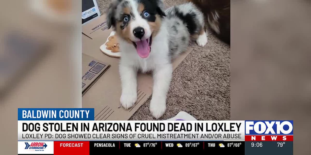 Arizona family demands answers after stolen dog was found dead in Loxley Arizona family demands answers after stolen dog was found dead in Loxley