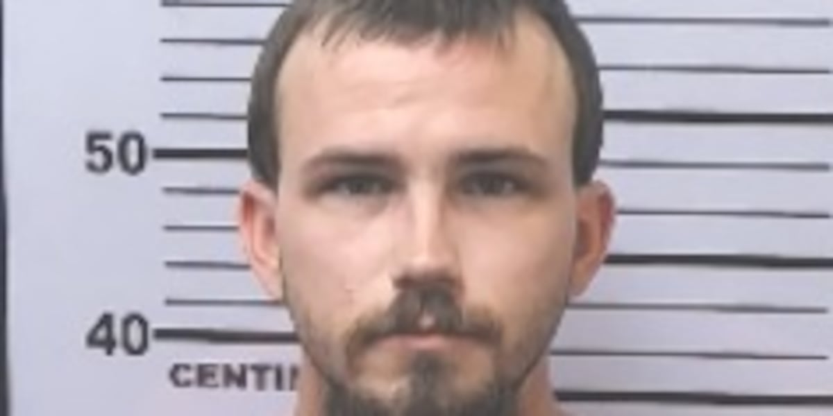 Man charged with murder, assault after deadly crash in west Mobile