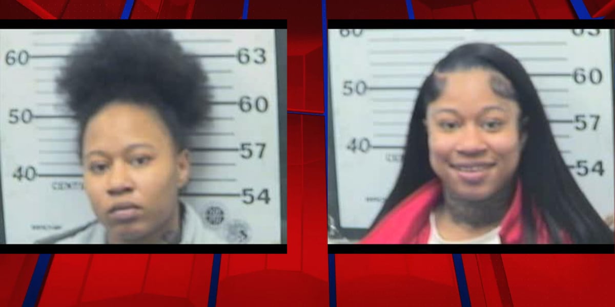 UPDATE: ‘Famous twins’ arrested again for assault and disorderly ...