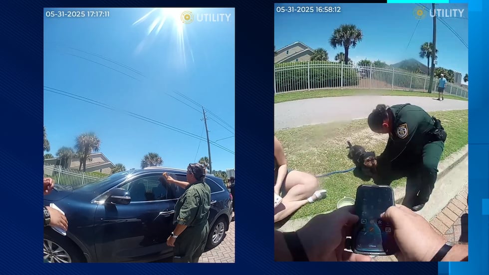 Walton County deputies respond to dog trapped in hot car. Animal services said the car was 120...