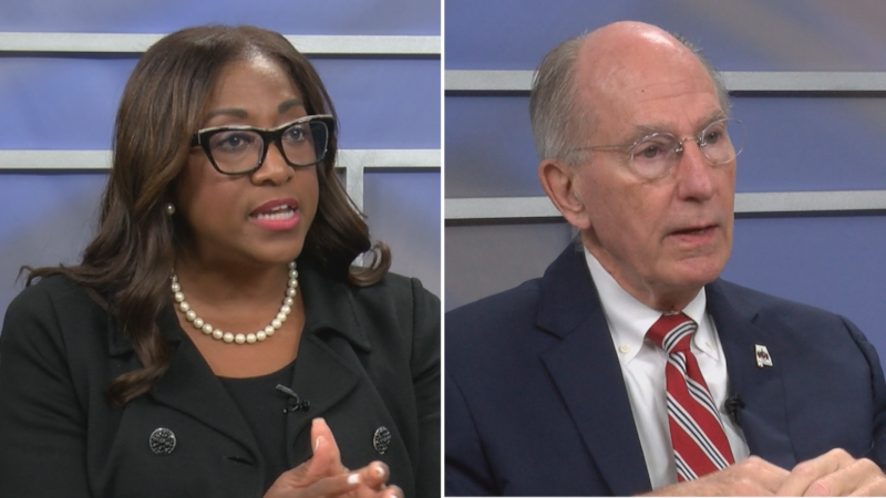 Meet the candidates running to be Alabama's treasurer: Rosilyn Houston (left) and Young Boozer...