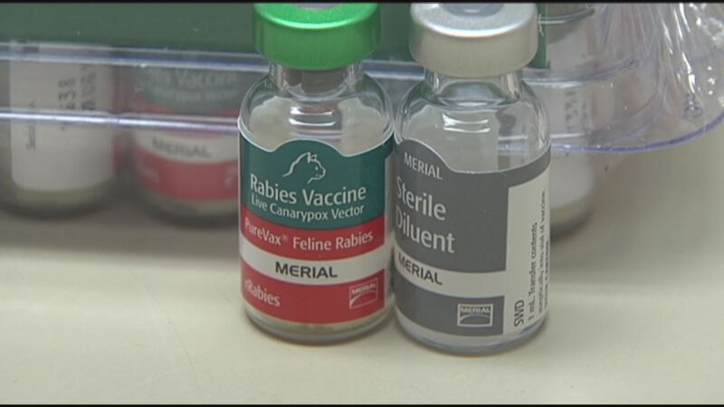 Multiple Rabies Vaccines MCHD plans multiple rabies clinics in March