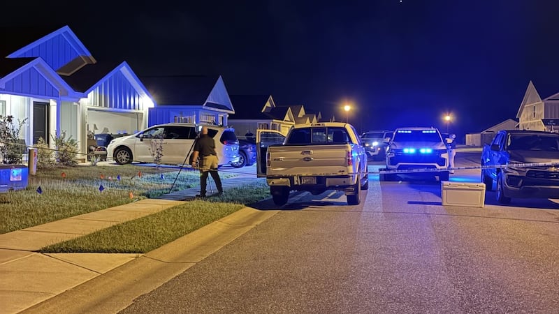 One person died after a domestic dispute Thursday afternoon, July 23, on Ghost Horse Drive,...