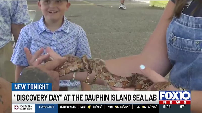 The event offered hands-on science lessons and free aquarium admission for children. FOX10 was...